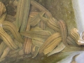 养殖水蛭技术之水蛭对饵料的要求