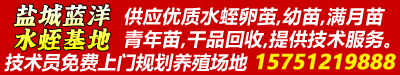 盐城蓝洋水蛭养殖基地